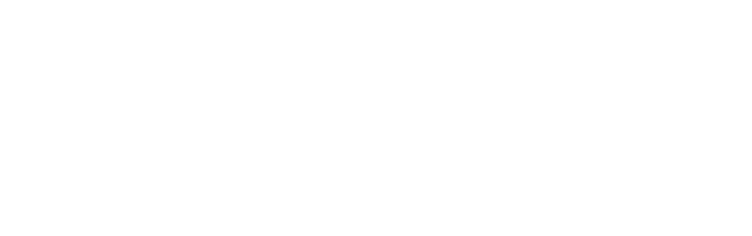 Smar-Telecom Logo